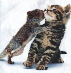 603250_410259849049521_823241865_n