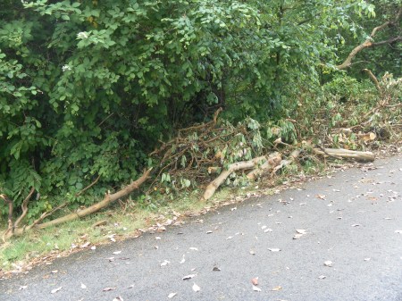 SAMSUNG DIGITAL CAMERA