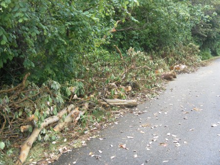 SAMSUNG DIGITAL CAMERA