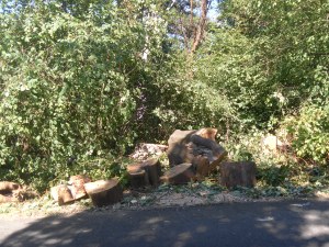 SAMSUNG DIGITAL CAMERA