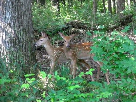 390125_620975944579436_2014785620_n