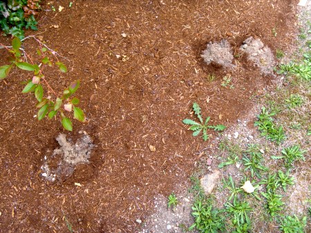 SAMSUNG DIGITAL CAMERA