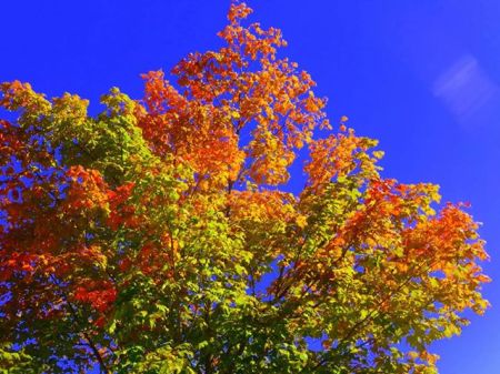 946729_10151908414262889_1120060809_n