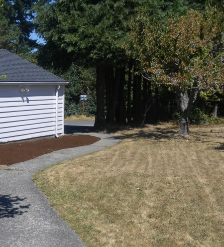 SAMSUNG DIGITAL CAMERA