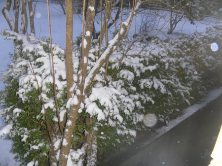 SAMSUNG DIGITAL CAMERA