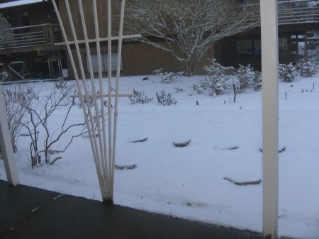 SAMSUNG DIGITAL CAMERA