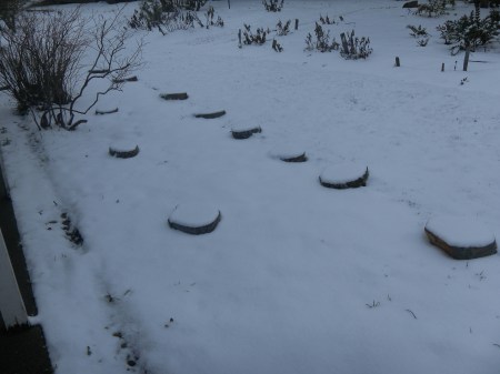 SAMSUNG DIGITAL CAMERA