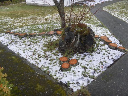 SAMSUNG DIGITAL CAMERA