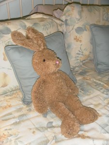 SAMSUNG DIGITAL CAMERA