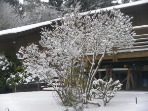 SAMSUNG DIGITAL CAMERA