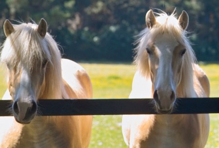 433178eb4ce1ea5d059c8f8e85780eaf