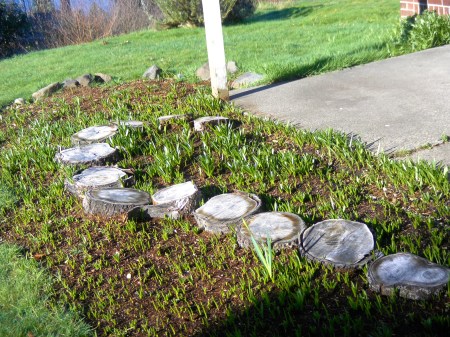 SAMSUNG DIGITAL CAMERA